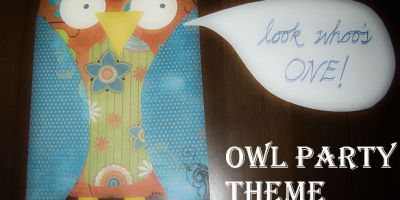 Owl Party Theme