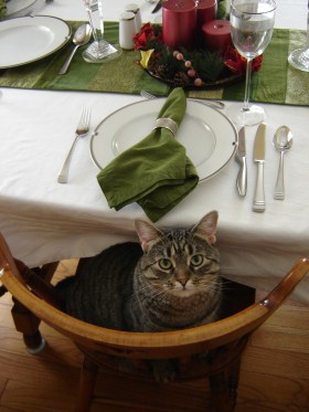 Sumo - always ready to eat