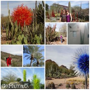 Striking views of Chihuly exhibit and scenes of Phoenix, Arizona.