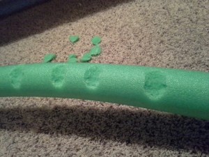 Half Eaten Pool Noodle