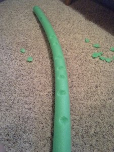 Half eaten pool noodle view 2