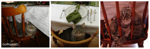 Kitchen Table with cat 2007