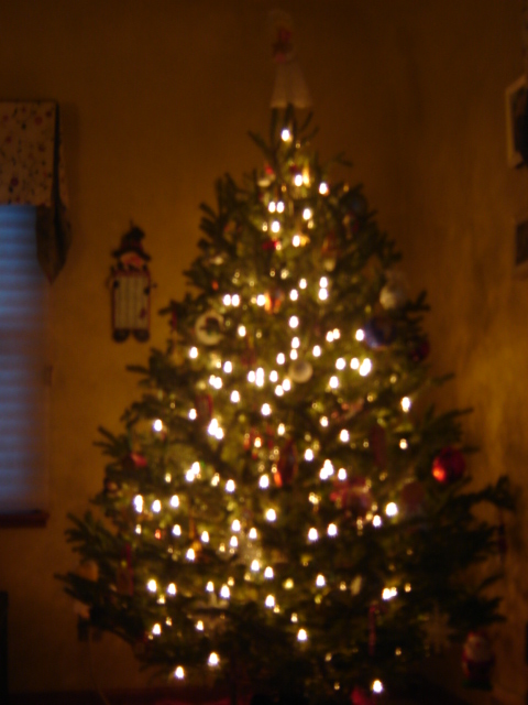 Our Christmas Tree with white lights 2012