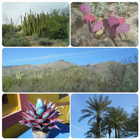 Colors of the Southwest