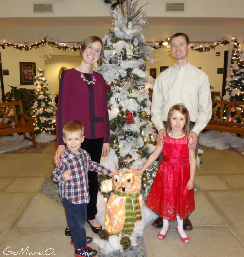 Nice Christmas pic with an Owl