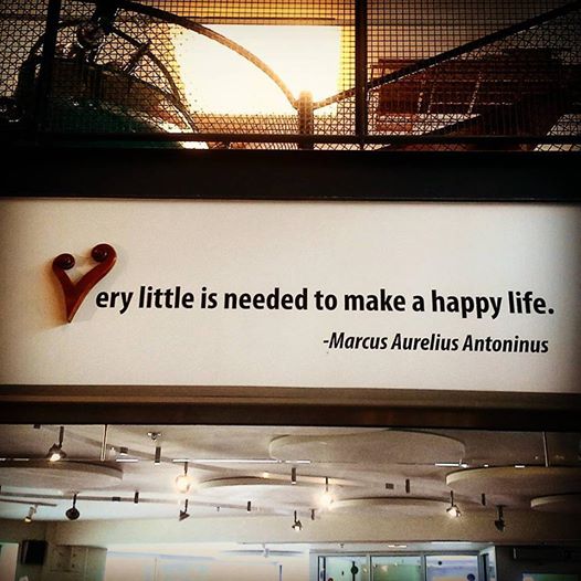 Very little is needed to make a happy life.