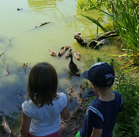 Enjoying a hike outside the nature museum