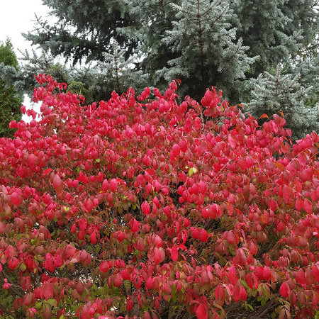 img_20161020_121110_resized_1