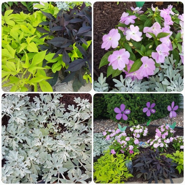 garden 2017 Go Mama O.