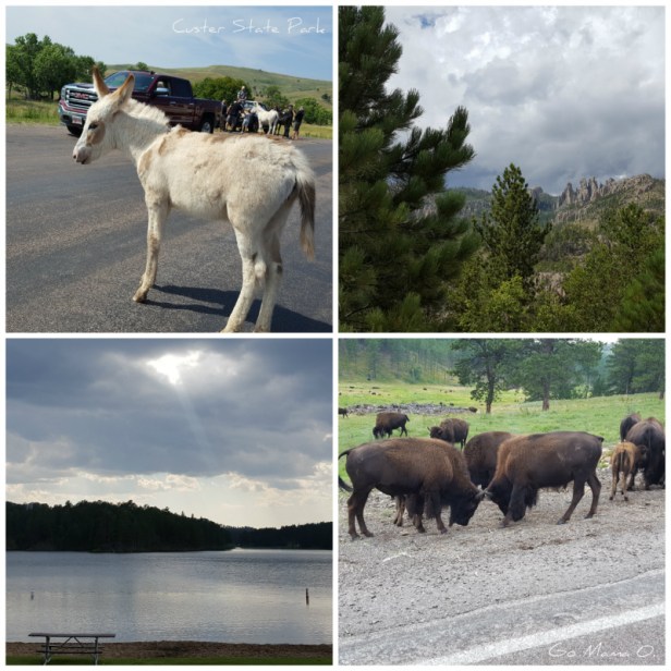 Custer State Park collage.jpg
