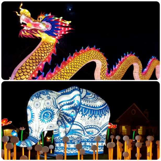 China Lights collage dragon, elephant