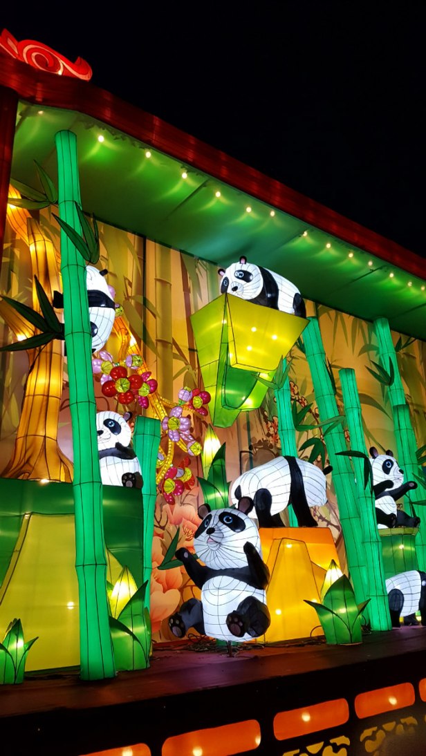 China Lights Panda Scene