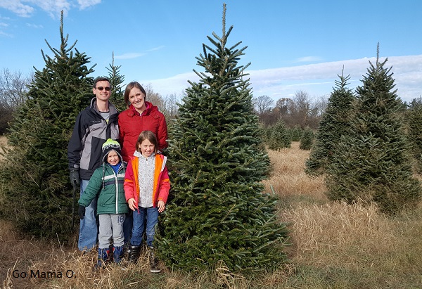 Daddy, Mama O, our kids cutting down our tree