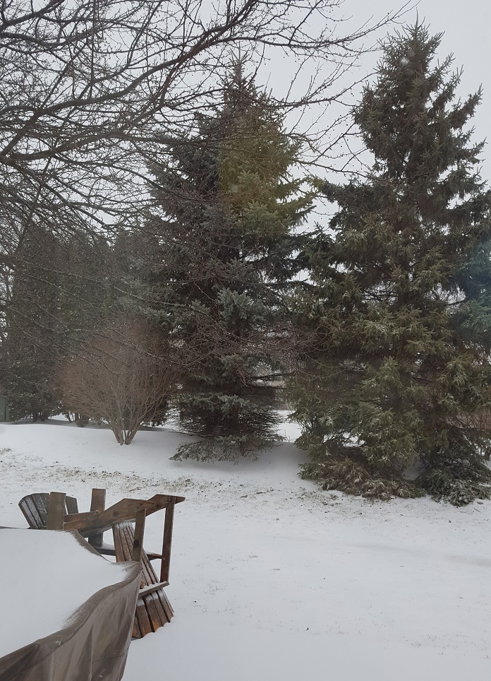 April Spring Wisconsin WANTED: Spring in Wisconsin β go mama o.