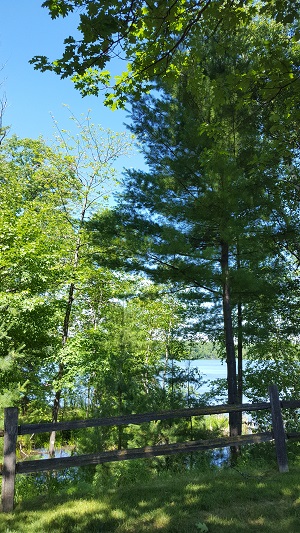 View from coffee shop northwoods