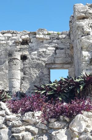 Mayan Ruins and plant life at Tulum