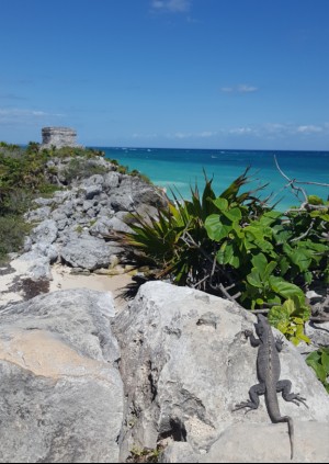 Tulum view of the ocean