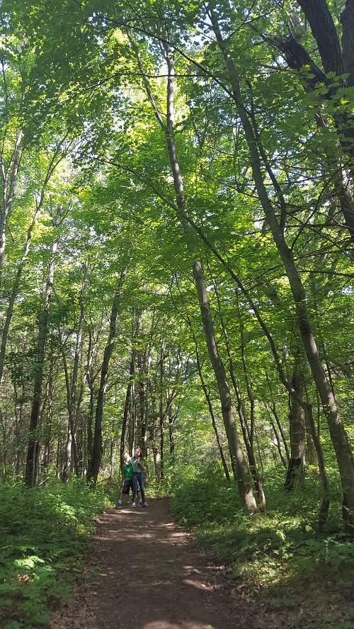 Picture of the kids on a hike. 