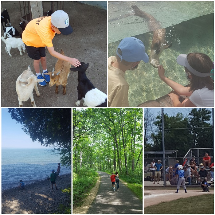 Summer memories of petting goats, seeing otters, being outside